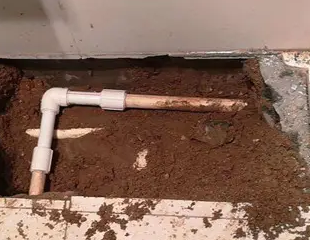 鼎湖测漏水哪家好