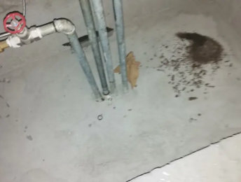 鼎湖卫生间测漏水价格明细